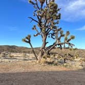 Review photo of BLM Knob Hill Primitive Camping by Jeremy E., April 2, 2023