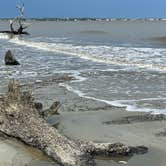 Review photo of Jekyll Island Campground by Cindy C., April 2, 2023