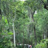 Review photo of Jekyll Island Campground by Cindy C., April 2, 2023