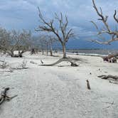 Review photo of Jekyll Island Campground by Cindy C., April 2, 2023