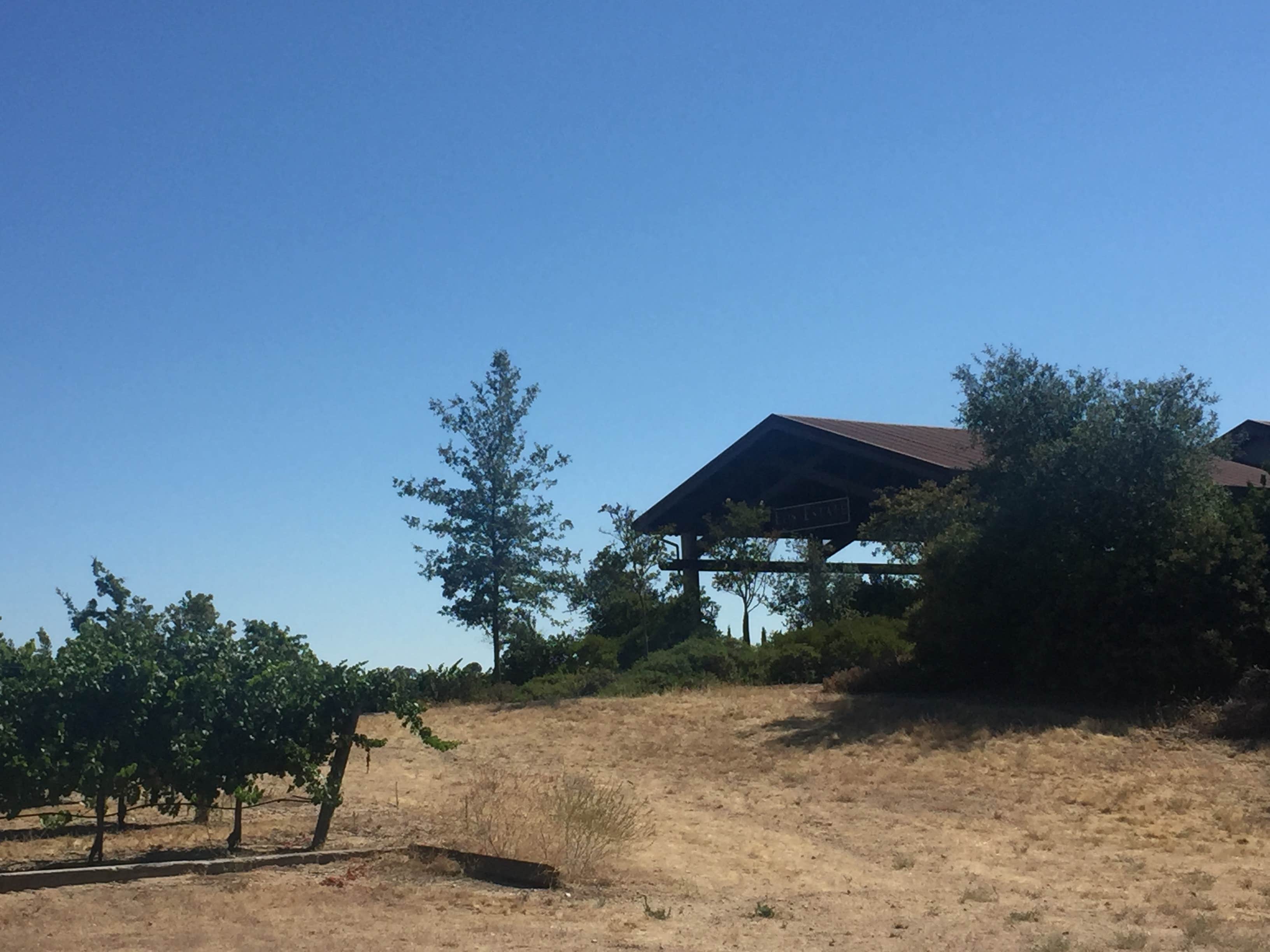 Camper-submitted photo at Sun Outdoors Central Coast Wine Country near Fort Hunter Liggett, CA