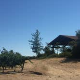 Review photo of Wine Country RV Resort, A Sun RV Resort by James  B., October 1, 2018
