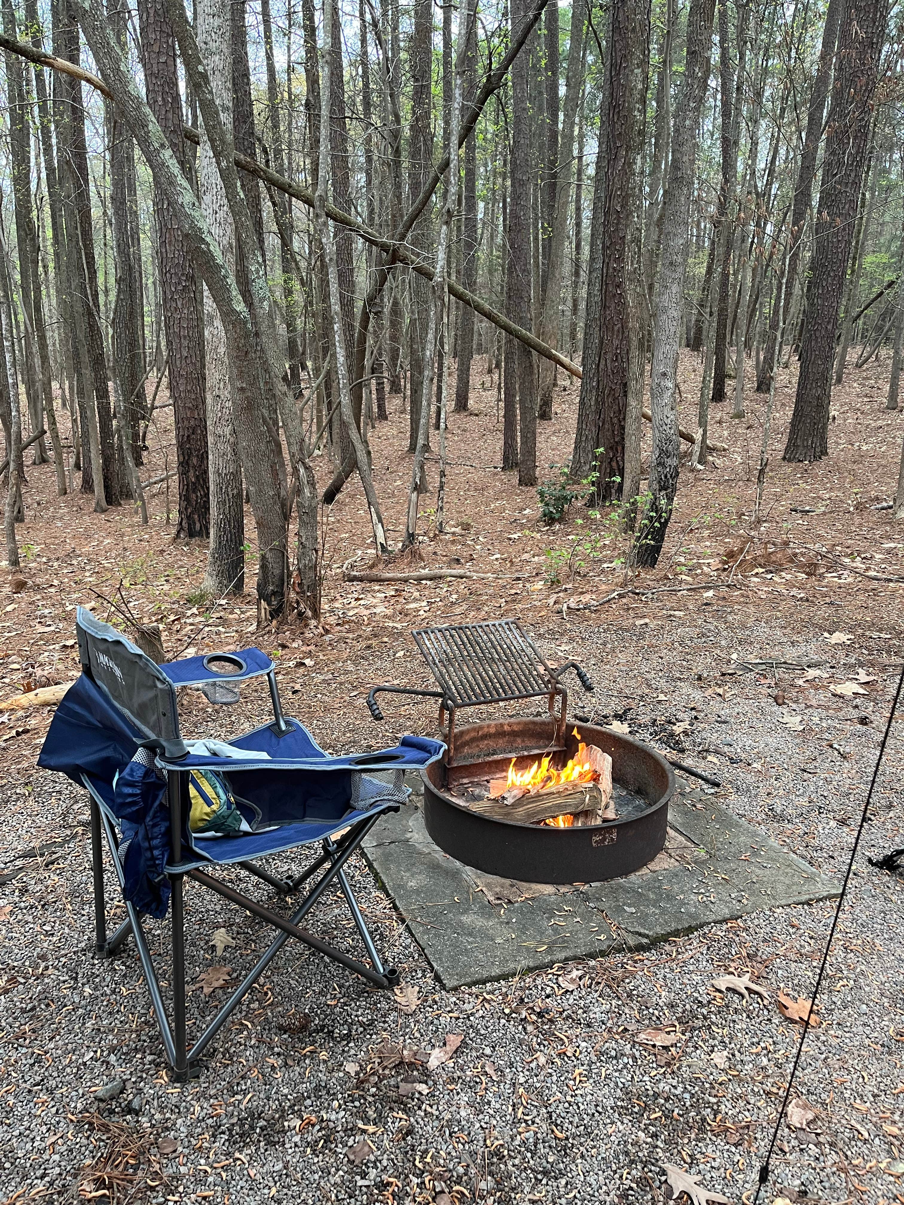 Abby C.'s photo at Holly Point — Falls Lake State Recreation Area near Wake Forest, NC