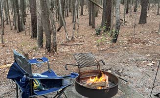 Abby C.'s photo at Holly Point β Falls Lake State Recreation Area near Wake Forest, NC
