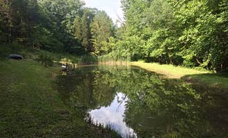 Camping near Turkey Creek Campground — Shawnee State Park: Bear Pond West Union, West Union, Ohio