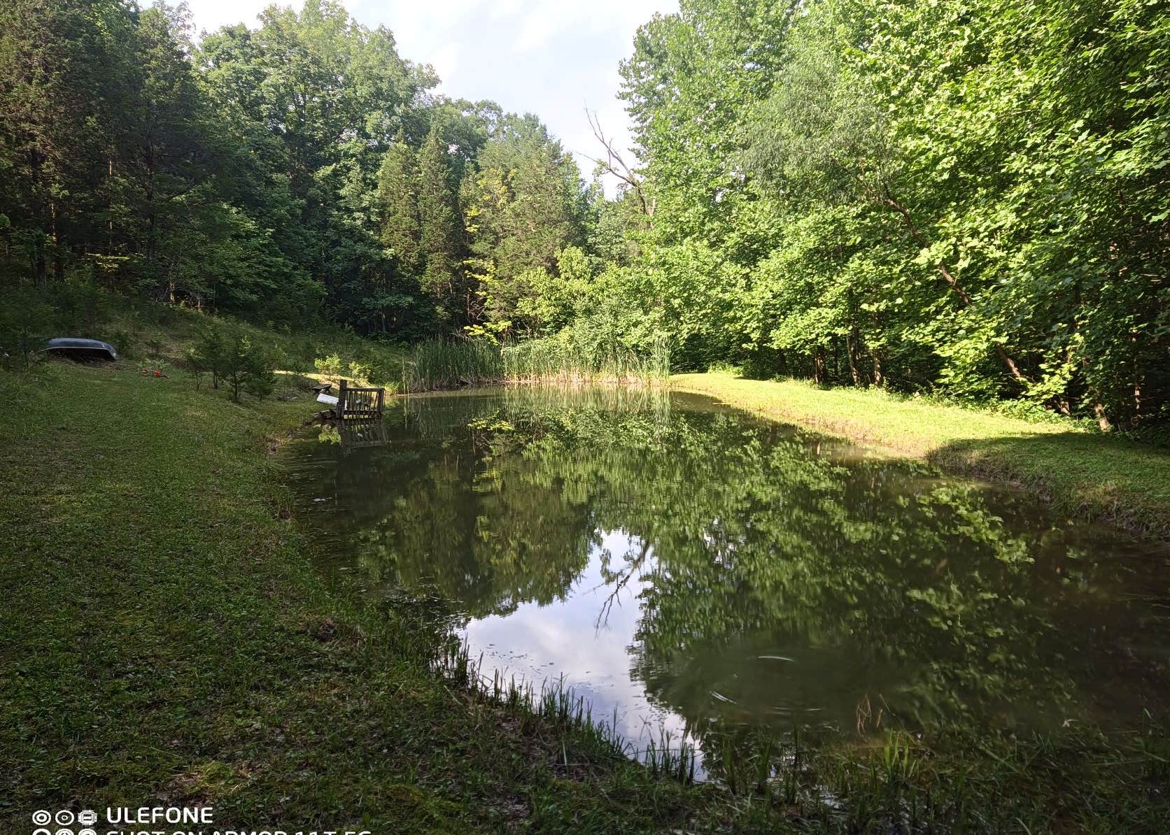 Bear Pond West Union Camping The Dyrt