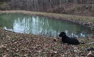 John B.'s photo of camping with pets at Bear Pond West Union near Manchester, OH