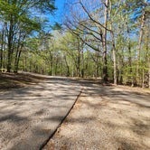 Review photo of Pickwick Landing State Park Campground by Katrin M., April 2, 2023