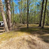 Review photo of Pickwick Landing State Park Campground by Katrin M., April 2, 2023