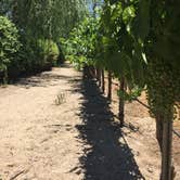 Review photo of Sun Outdoors Central Coast Wine Country by James  B., October 1, 2018