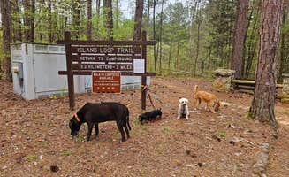 Katrin M.'s photo of camping with pets at Pickwick Landing State Park Campground near Cherokee, AL