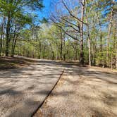 Review photo of Pickwick Landing State Park Campground by Katrin M., April 2, 2023