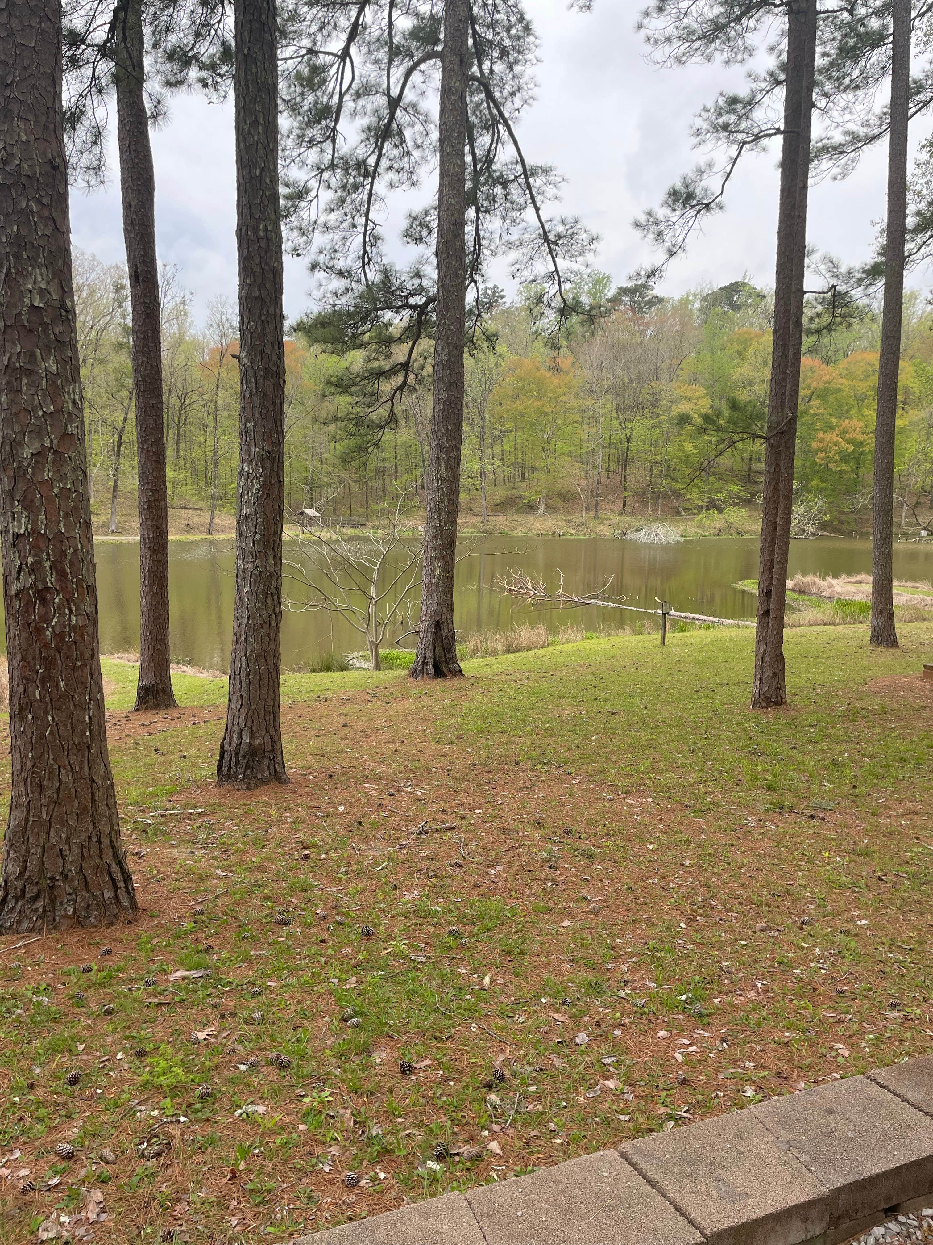 Camper submitted image from Choctaw Lake - 3