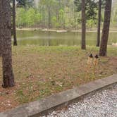 Review photo of Choctaw Lake by Tiffany C., April 2, 2023