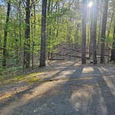 Review photo of Pickwick Landing State Park Campground by Katrin M., April 2, 2023