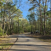 Review photo of Pickwick Landing State Park Campground by Katrin M., April 2, 2023