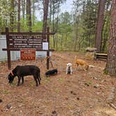 Review photo of Pickwick Landing State Park Campground by Katrin M., April 2, 2023