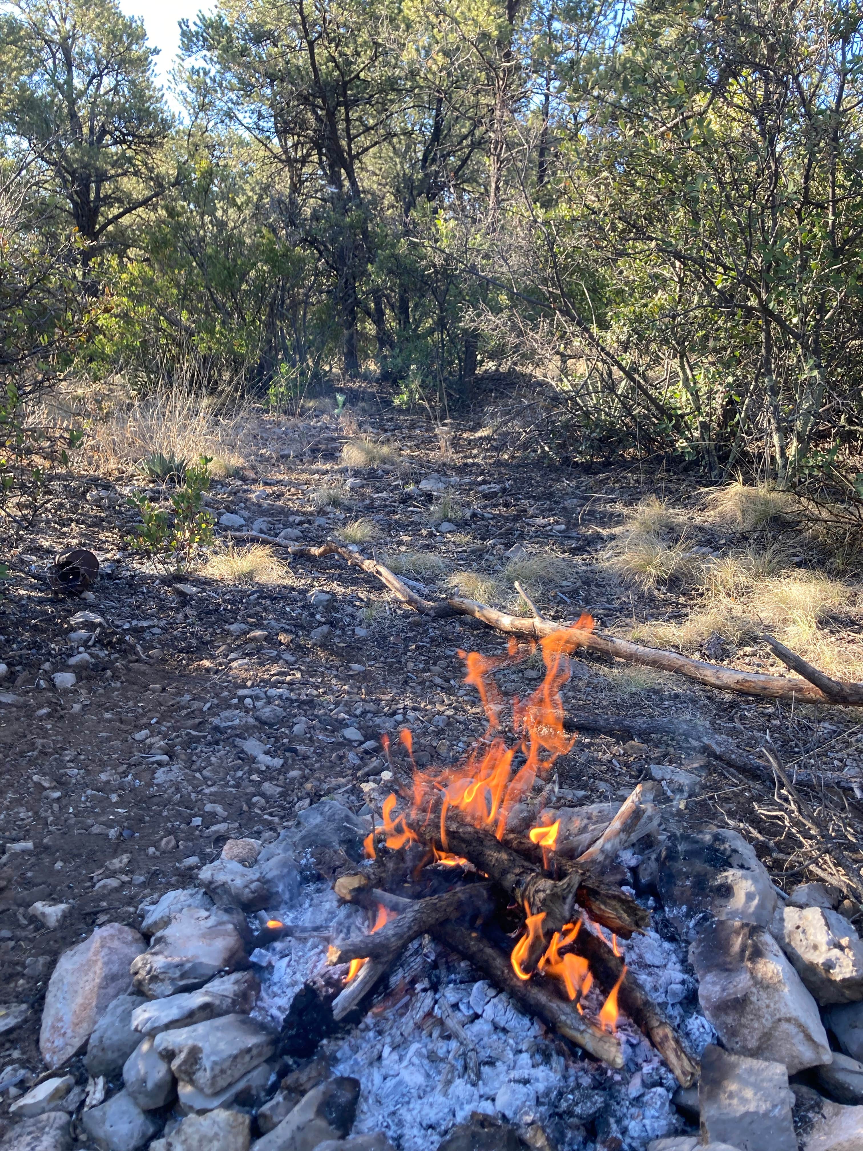 Camping near Bill Evans Lake: Bear Mountain, Silver City, New Mexico