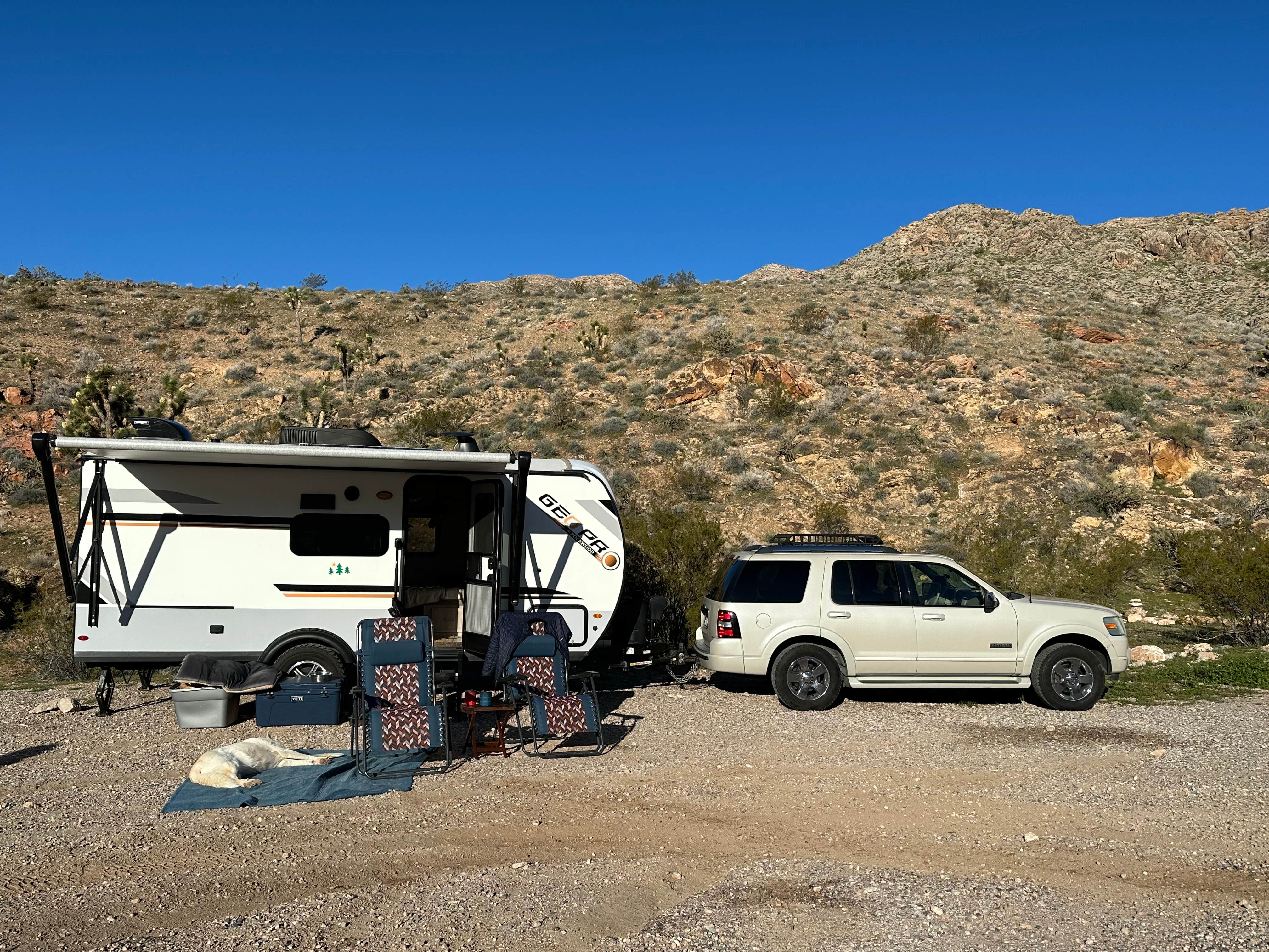 Amanda V.'s photo of camping with pets at Cedar Pockets Pass Road - Dispersed Camping near Mesquite, NV