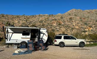 Amanda V.'s photo of camping with pets at Cedar Pockets Pass Road - Dispersed Camping near Mesquite, NV