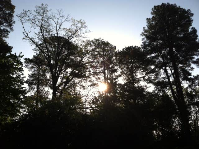 Camper-submitted photo at William B. Umstead State Park Campground near B. Everett Jordan Lake