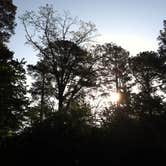 Review photo of William B. Umstead State Park Campground by Bran P., August 15, 2016