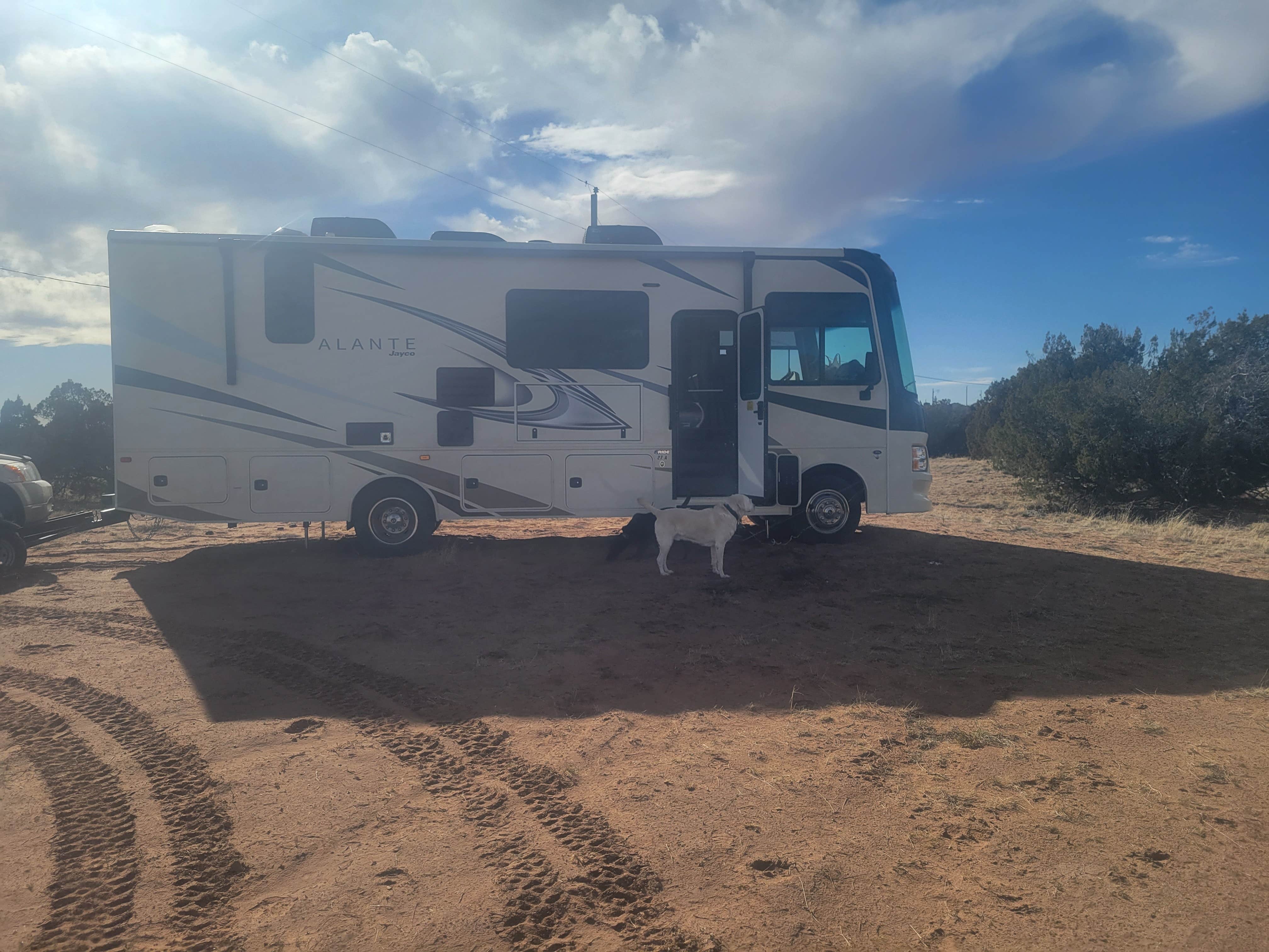 Brittany M.'s photo of camping with pets at LunaGaia Nomadic Village near Petrified Forest Natl Park, AZ