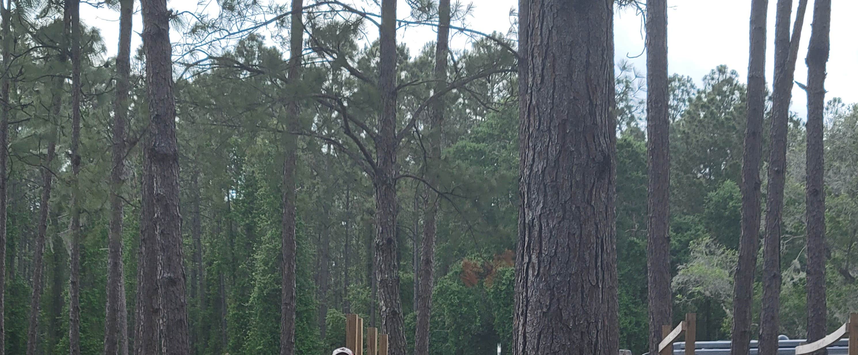 Camper-submitted photo at Lake City RV Resort near Lake City, FL