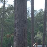 Review photo of Lake City RV Resort by rani D., April 2, 2023
