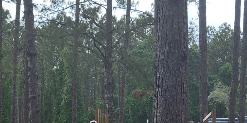 Camper submitted image from Lake City RV Resort