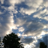 Review photo of William B. Umstead State Park Campground by Bran P., August 15, 2016