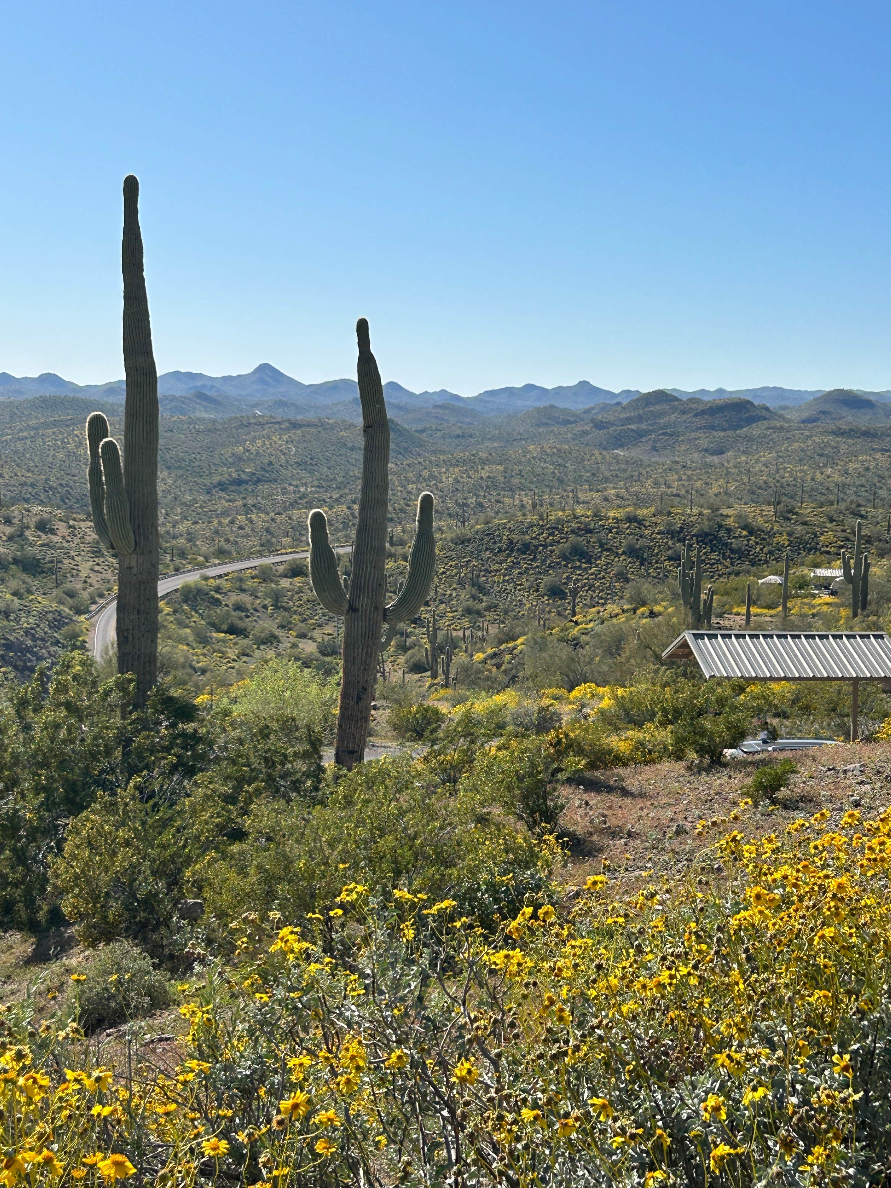 Camper-submitted photo at Roadrunner Campground - Lake Pleasant near Sun City West, AZ