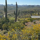 Review photo of Roadrunner Campground - Lake Pleasant by Kate T., April 3, 2023