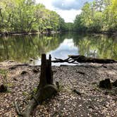 Review photo of Magnolia Campground — O'Leno State Park by Tim H., April 3, 2023