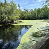 Review photo of Magnolia Campground — O'Leno State Park by Tim H., April 3, 2023