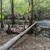 Review photo of Magnolia Campground — O'Leno State Park by Tim H., April 3, 2023