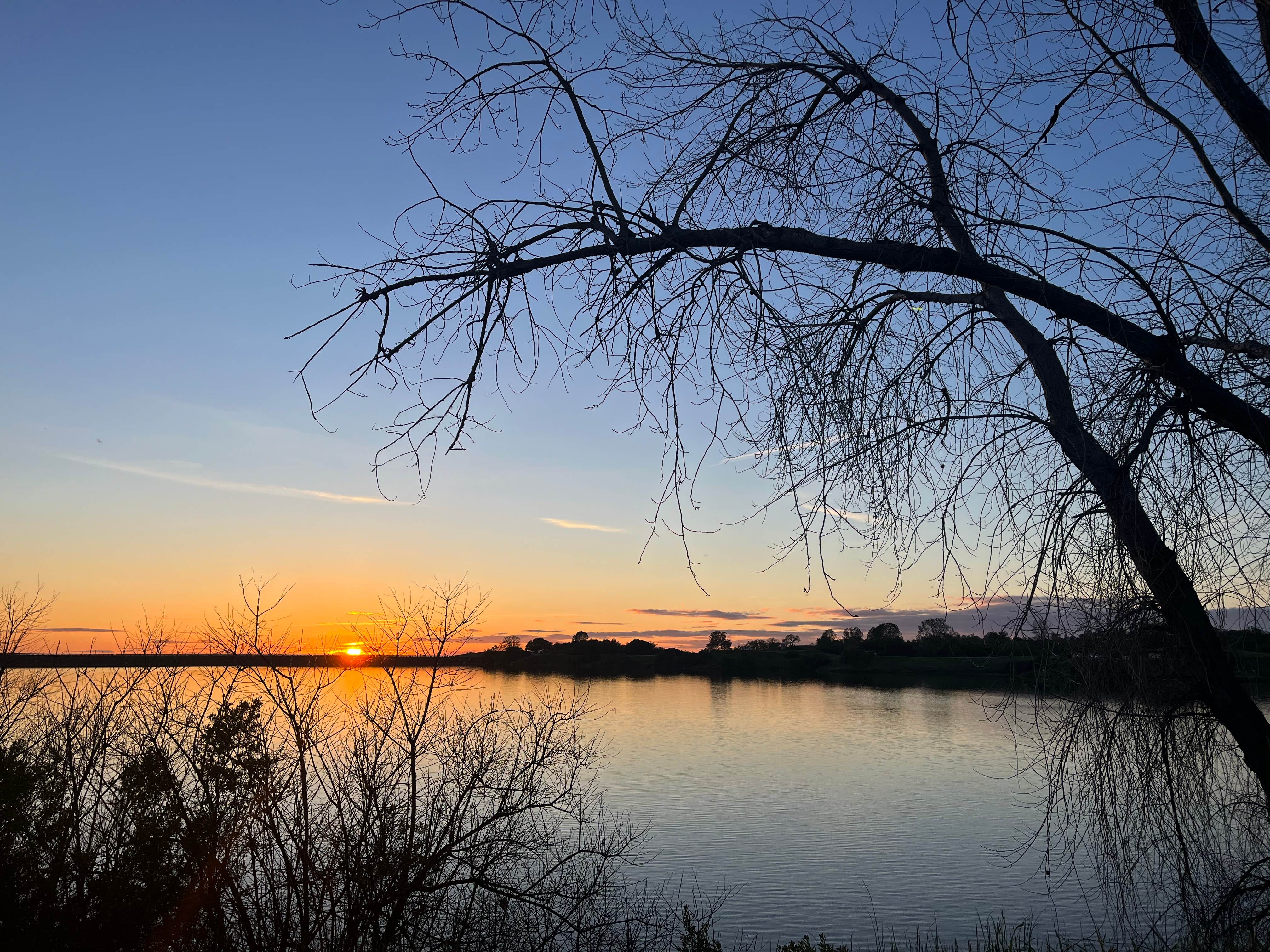 Camper submitted image from Lake Amador Resort - 4