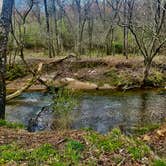 Review photo of Secluded Mitchel River Camping by Milligan D., April 3, 2023