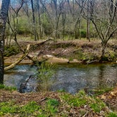 Review photo of Secluded Mitchel River Camping by Milligan D., April 3, 2023