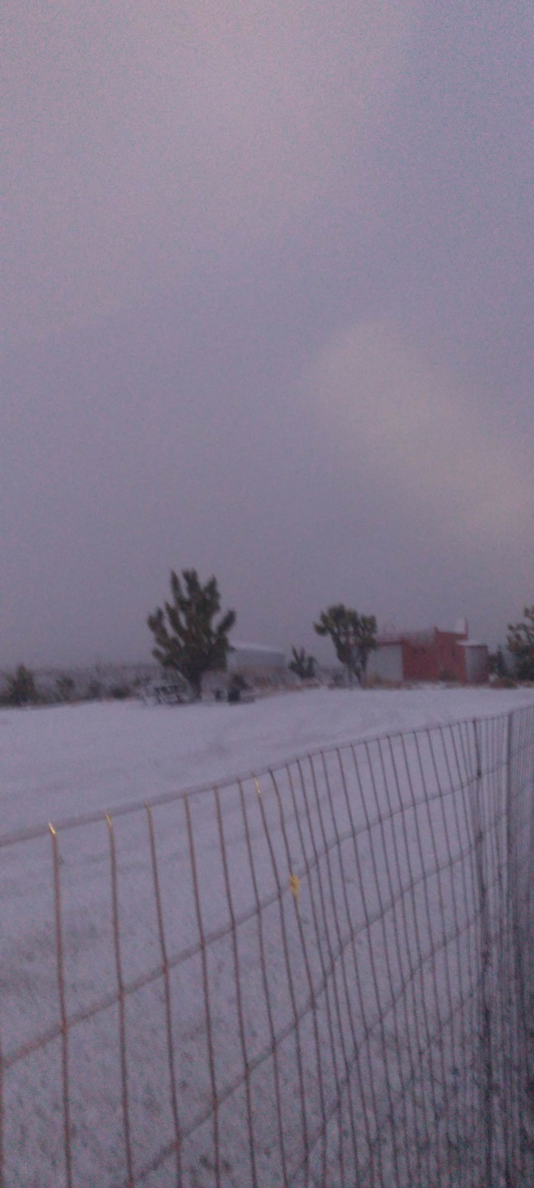 Camper-submitted photo at Joshua Re-TREE-t near Lake Mead National Recreation Area