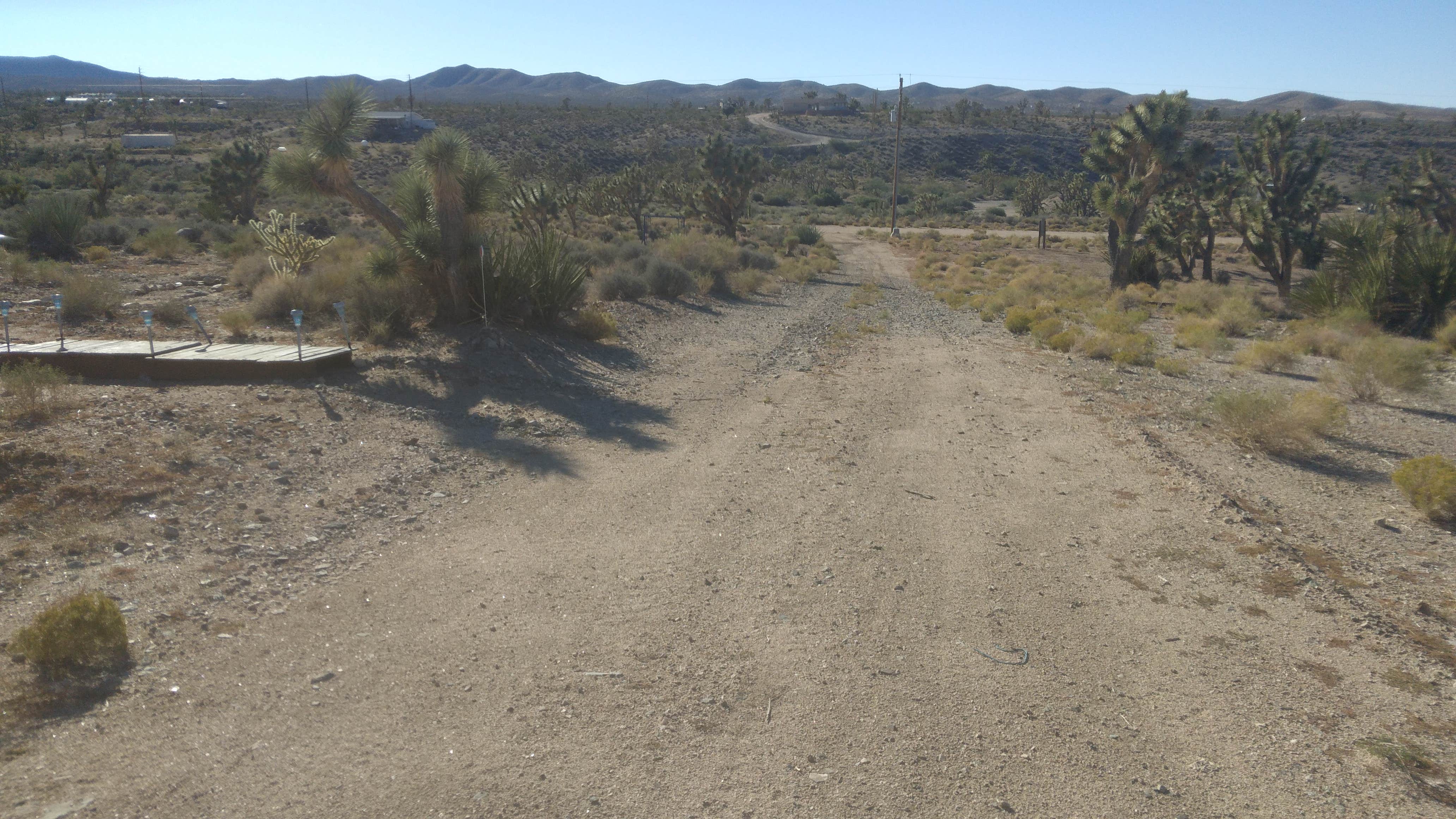 Camper-submitted photo at Joshua Re-TREE-t near Lake Mead National Recreation Area