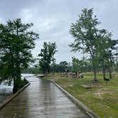 Review photo of Sam Houston Jones State Park — Sam Houston Jones State Park District II by Casey L., April 3, 2023