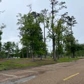 Review photo of Sam Houston Jones State Park — Sam Houston Jones State Park District II by Casey L., April 3, 2023