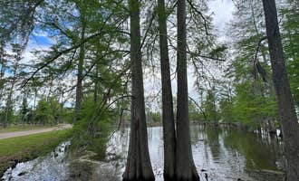 Camping near Whispering Meadow RV Park: Sam Houston Jones State Park — Sam Houston Jones State Park District II, Lake Charles, Louisiana
