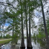 Review photo of Sam Houston Jones State Park — Sam Houston Jones State Park District II by Casey L., April 3, 2023