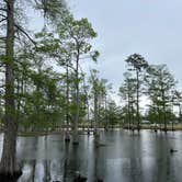 Review photo of Sam Houston Jones State Park — Sam Houston Jones State Park District II by Casey L., April 3, 2023