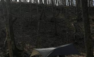 Ella L.'s photo at eXplore Brown County near Freetown, IN