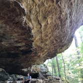 Review photo of Redbud Campground at Bell Smith Springs by Nick D., October 2, 2018