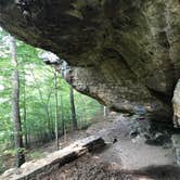 Review photo of Redbud Campground at Bell Smith Springs by Nick D., October 2, 2018