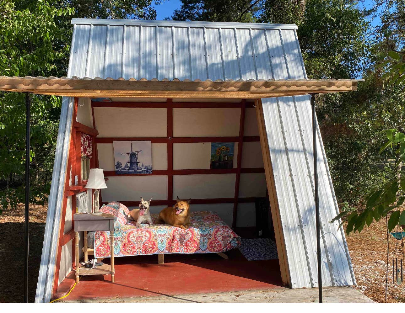 Name's photo of camping with pets at The Olive Grove near Trilby, FL